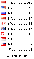 visitors by country counter