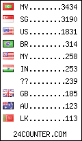 visitors by country counter