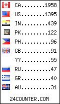 visitors by country counter