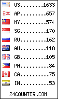 visitors by country counter