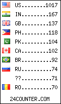 visitors by country counter