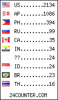 visitors by country counter