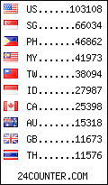 visitors by country counter