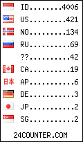 visitors by country counter