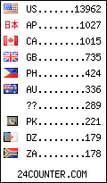 visitors by country counter