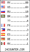 visitors by country counter