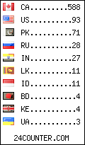 visitors by country counter