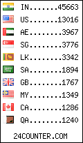 visitors by country counter