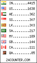 visitors by country counter