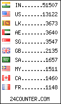 visitors by country counter