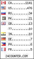 visitors by country counter