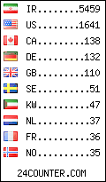 visitors by country counter