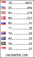 visitors by country counter