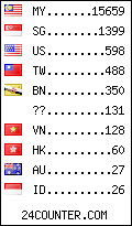 visitors by country counter