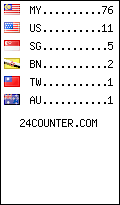 visitors by country counter
