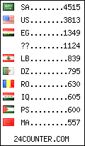 visitors by country counter