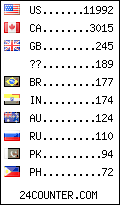 visitors by country counter