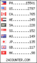 visitors by country counter