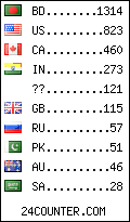 visitors by country counter