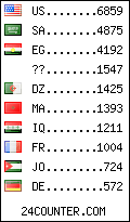 visitors by country counter