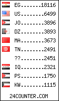 visitors by country counter