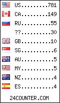 visitors by country counter