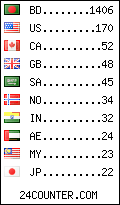 visitors by country counter