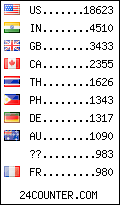 visitors by country counter