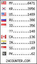 visitors by country counter