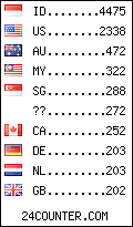 visitors by country counter