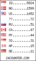 visitors by country counter