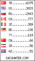 visitors by country counter