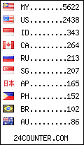 visitors by country counter