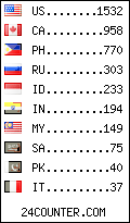 visitors by country counter