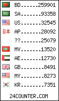 visitors by country counter