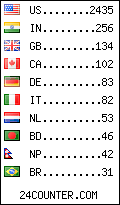 visitors by country counter