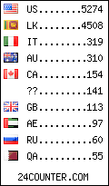 visitors by country counter