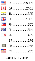 visitors by country counter