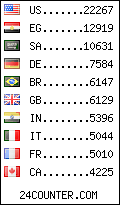 visitors by country counter