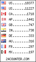 visitors by country counter