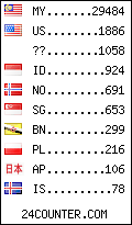 visitors by country counter
