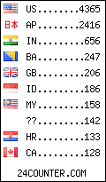 visitors by country counter