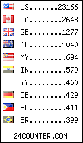 visitors by country counter