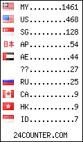 visitors by country counter