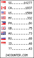 visitors by country counter