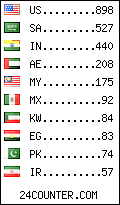 visitors by country counter