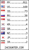 visitors by country counter