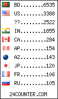 visitors by country counter