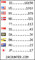 visitors by country counter