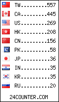 visitors by country counter